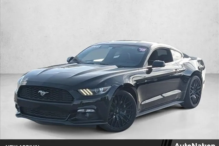 2015 Ford Mustang EcoBoost photo 1