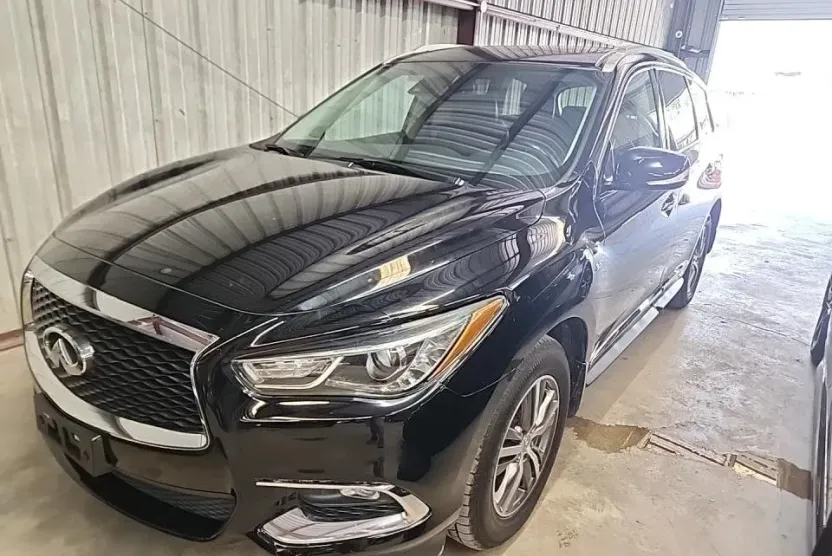 2020 Infiniti QX60 Pure photo 1