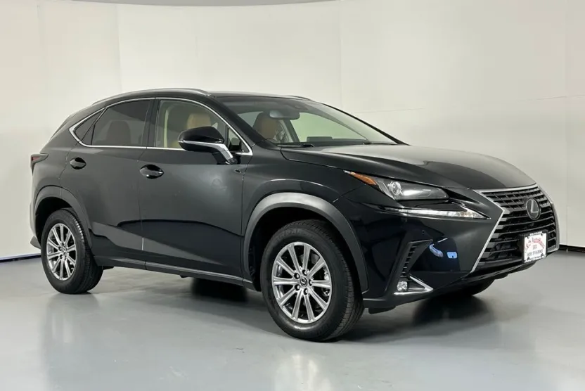 2019 Lexus NX 300 Luxury photo 1