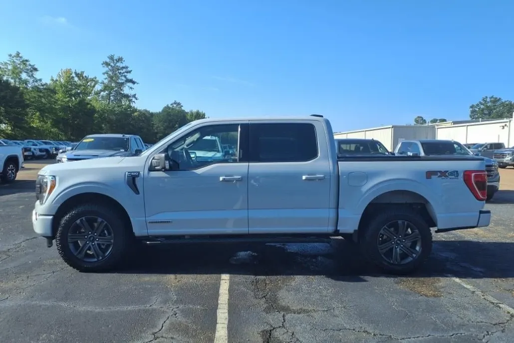 2023 Ford F-150 XL photo 1