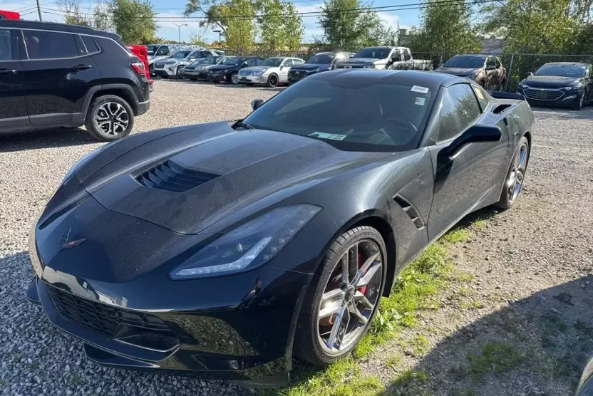 2014 Chevrolet Corvette Stingray Z51 3LT photo 1