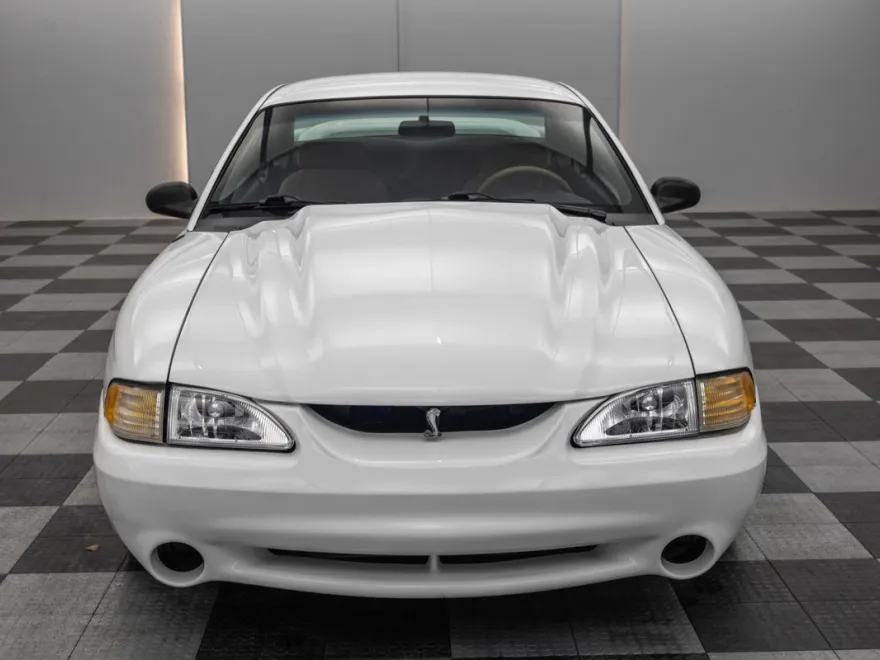 1995 Ford Mustang Cobra R photo 3