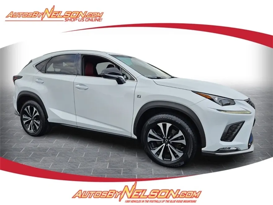 2018 Lexus NX 300 Luxury photo 1