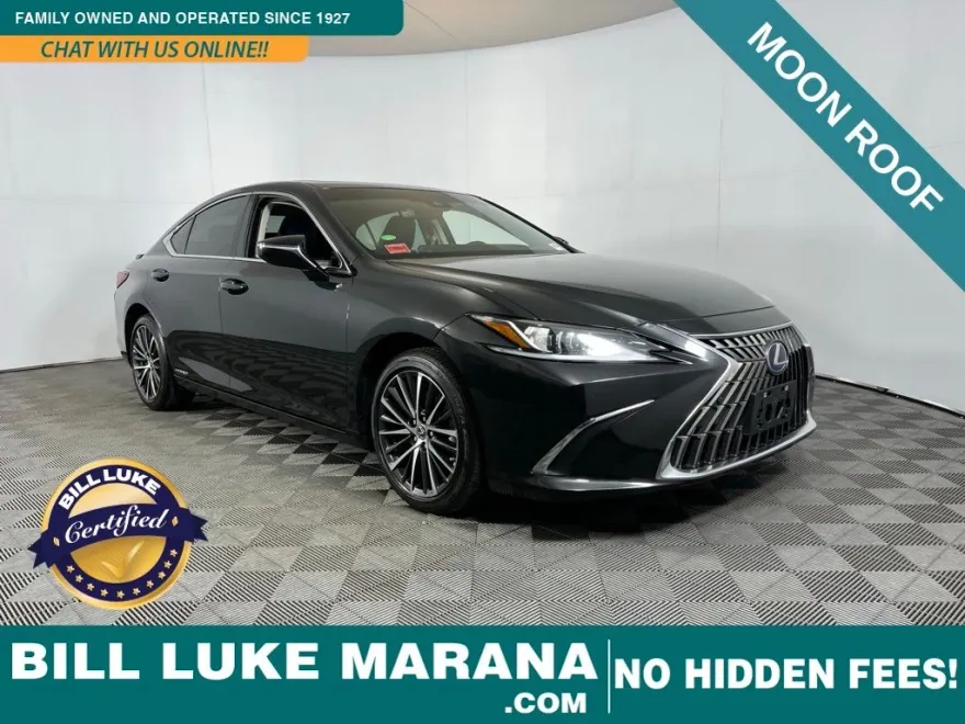 2022 Lexus ES 300h photo 1