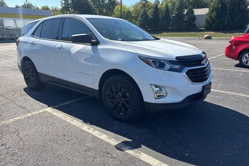 2019 Chevrolet Equinox LS photo 1