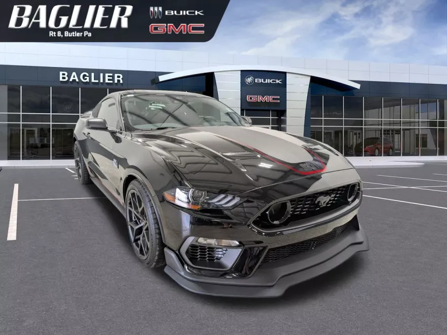 2022 Ford Mustang Mach 1 photo 1