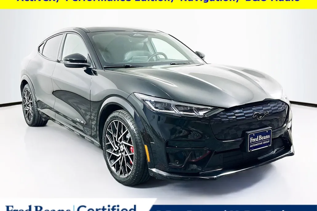 2021 Ford Mustang Mach-E GT photo 1