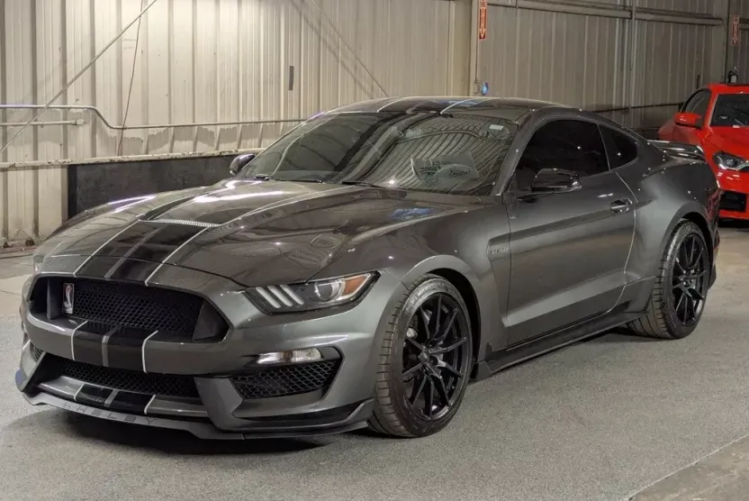 2018 Ford Mustang Shelby photo 1