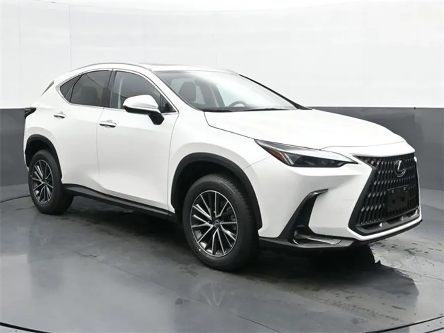 2024 Lexus NX 350 photo 1