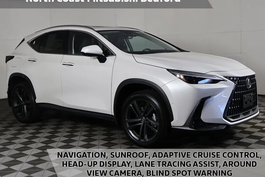 2024 Lexus NX 450h+ Luxury photo 1