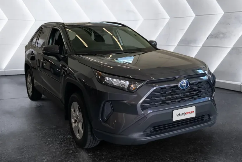 2019 Toyota RAV4 Hybrid LE photo 1