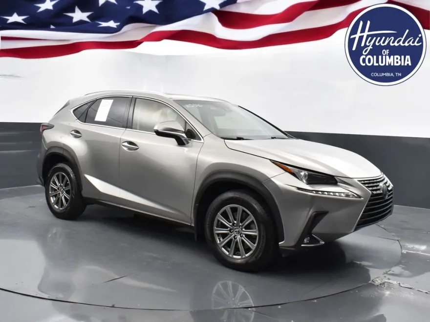 2019 Lexus NX 300 Luxury photo 1