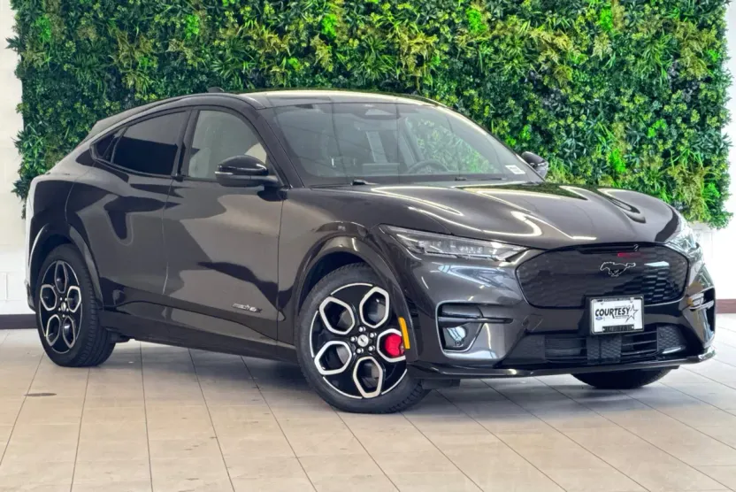2021 Ford Mustang Mach-E GT photo 1