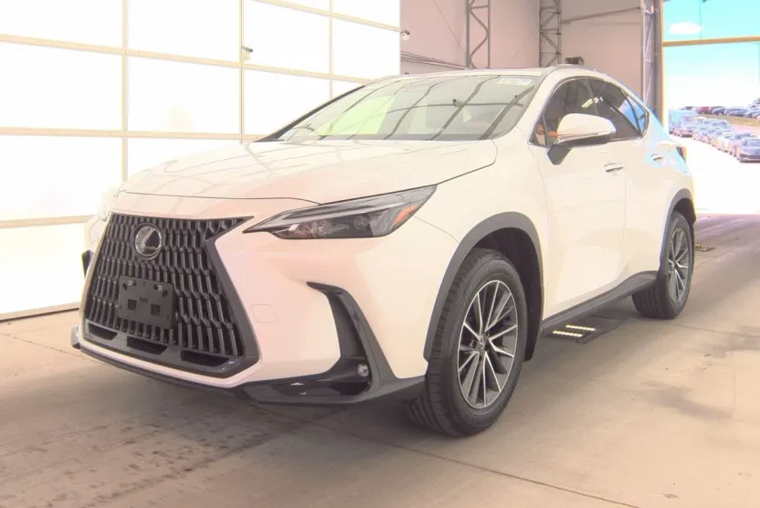 2024 Lexus NX 250 Premium photo 1