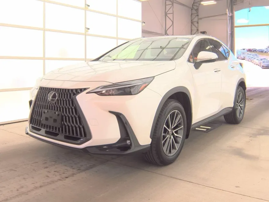 2024 Lexus NX 250 Premium photo 1