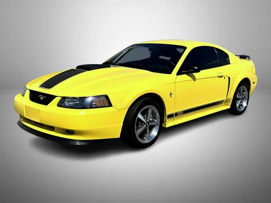 2003 Ford Mustang Mach 1 photo 1