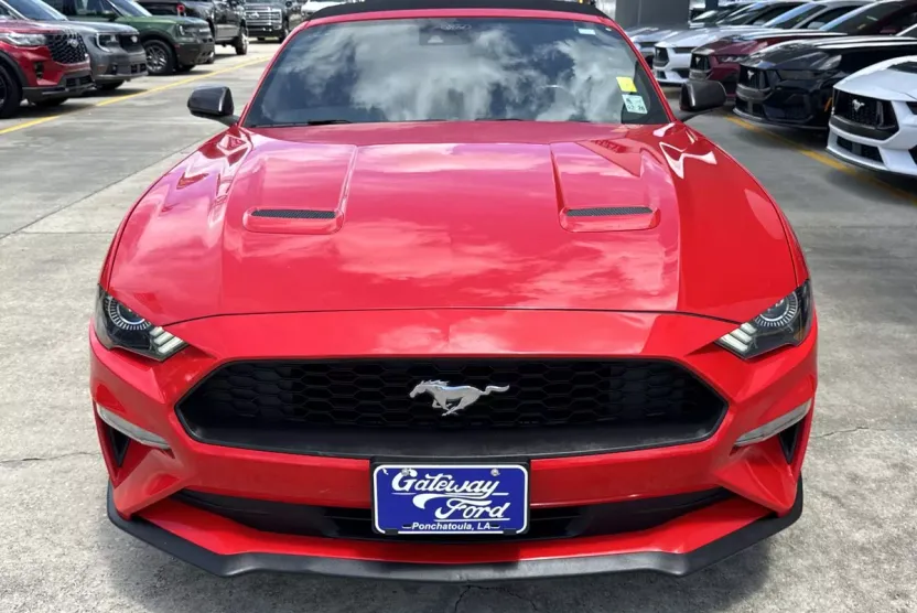 2022 Ford Mustang EcoBoost Premium Convertible photo 1