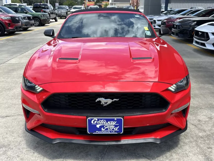 2022 Ford Mustang EcoBoost Premium Convertible photo 1
