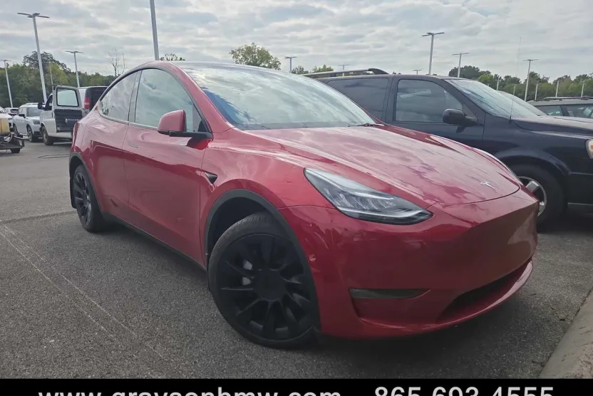 2023 Tesla Model Y photo 1