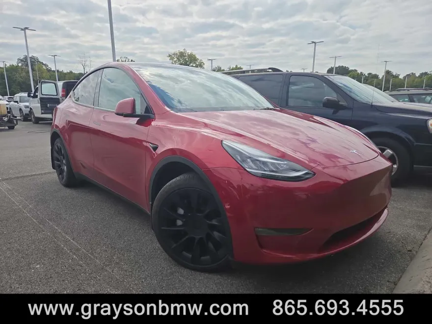 2023 Tesla Model Y photo 1