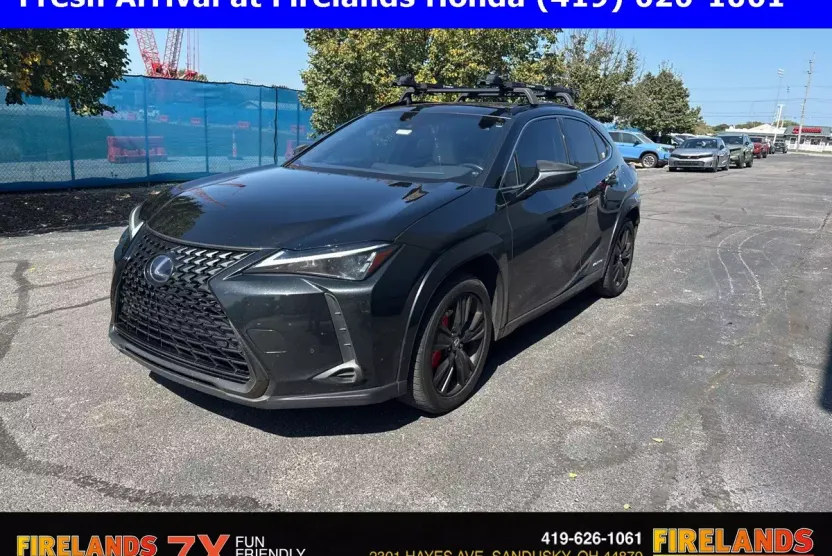 2021 Lexus UX 250h photo 1