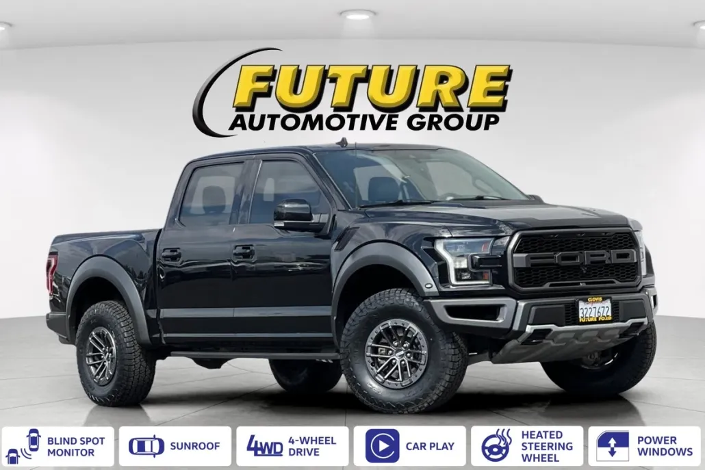 2020 Ford F-150 Raptor photo 1