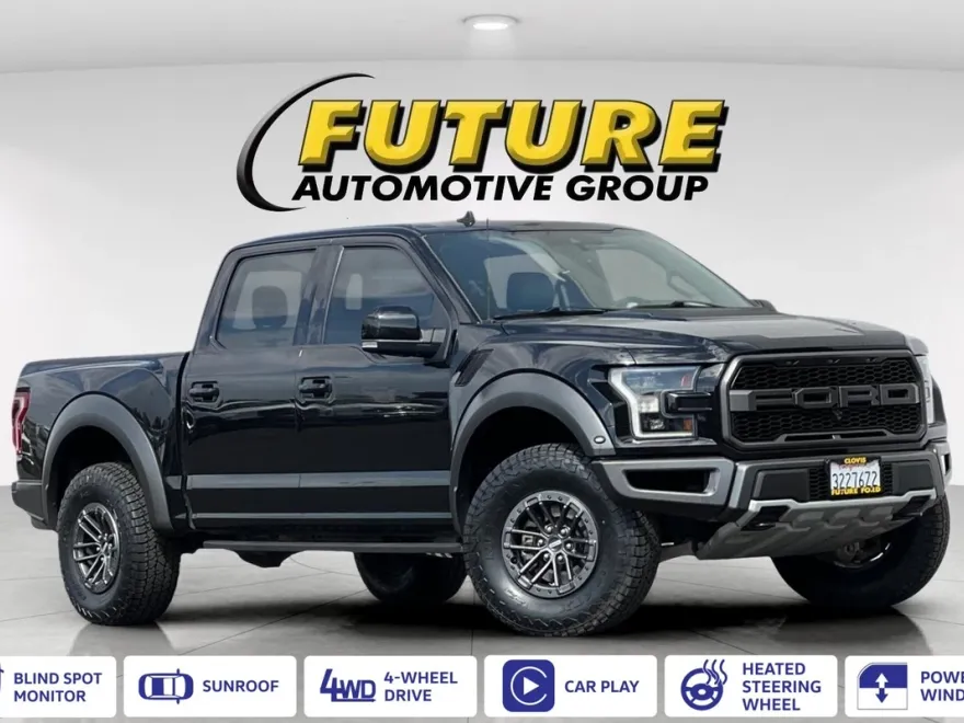 2020 Ford F-150 Raptor photo 1