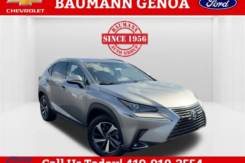 2018 Lexus NX 300h Luxury photo 1
