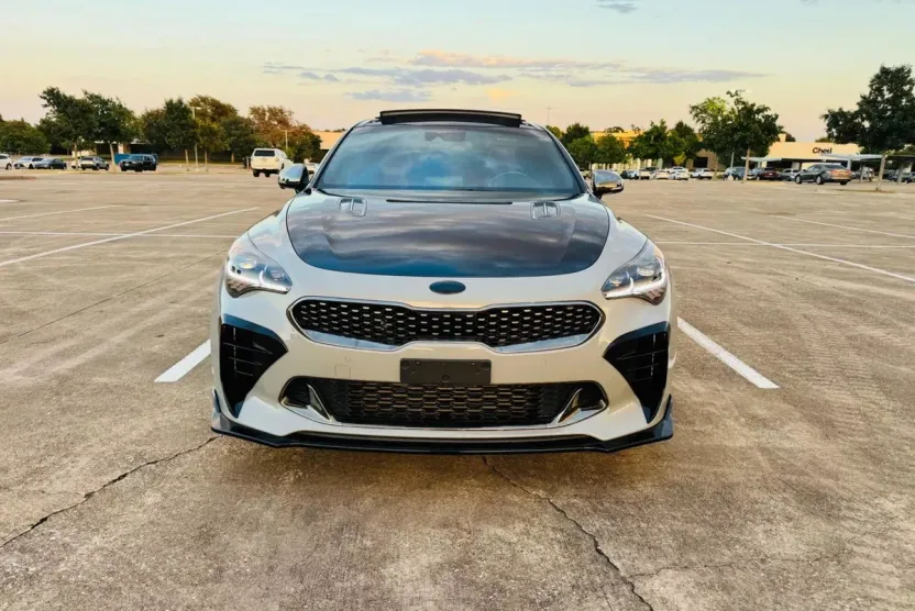 2019 Kia Stinger GT1 photo 1