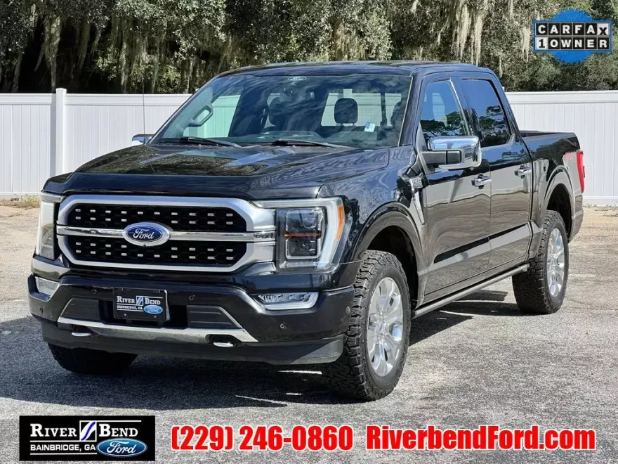 2021 Ford F-150 Platinum photo 1