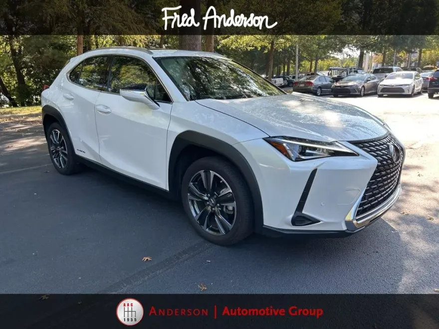 2021 Lexus UX 250h photo 1