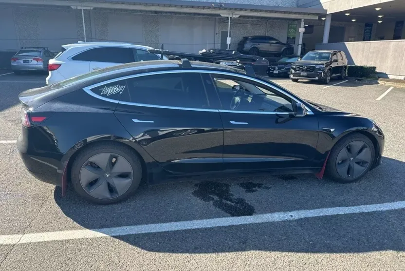 2019 Tesla Model 3 Long Range photo 1