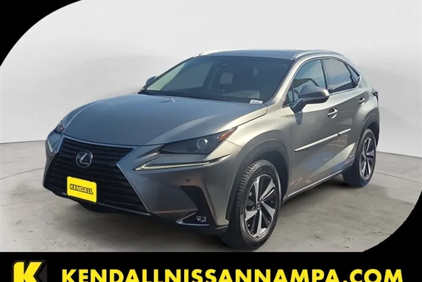 2019 Lexus NX 300h Luxury photo 1