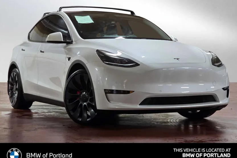 2021 Tesla Model Y Performance photo 1