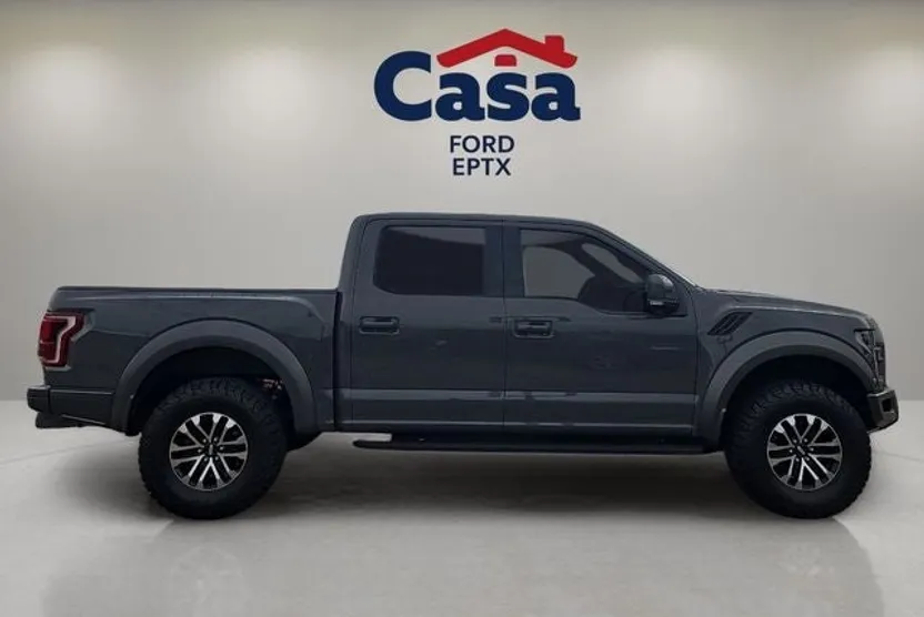 2020 Ford F-150 Raptor photo 1