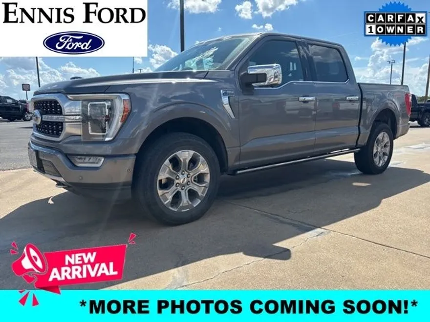 2021 Ford F-150 Platinum photo 1