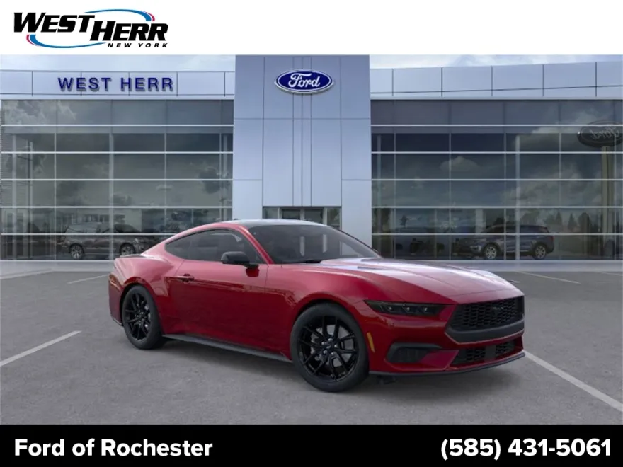 2025 Ford Mustang EcoBoost Premium photo 1