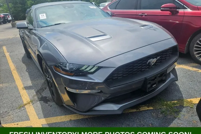 2023 Ford Mustang EcoBoost Premium photo 1