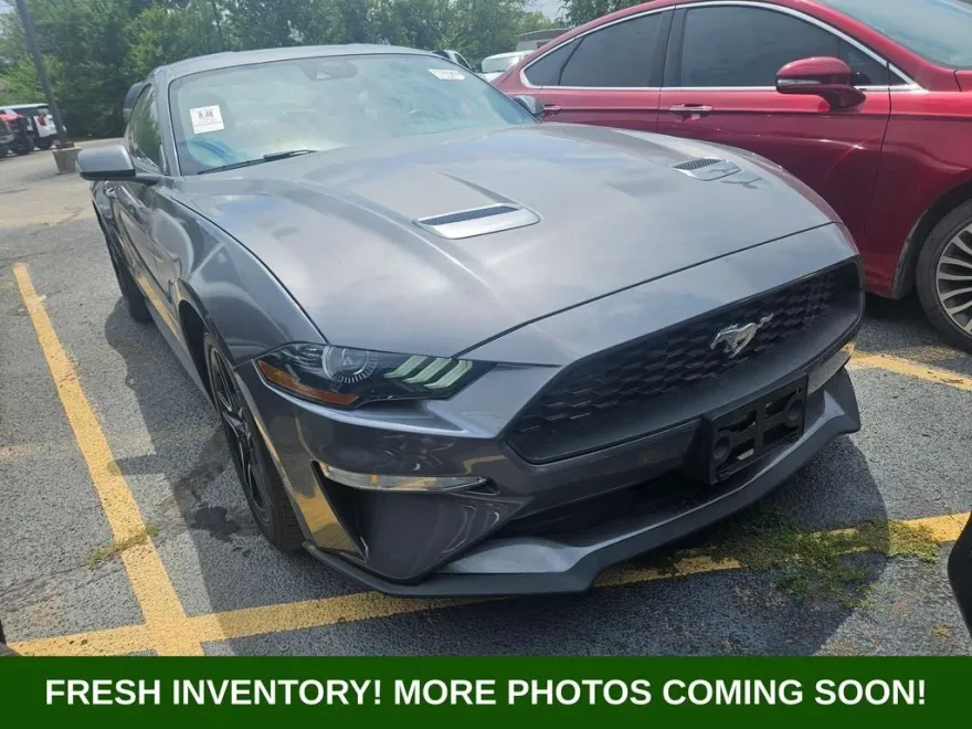 2023 Ford Mustang EcoBoost Premium photo 1