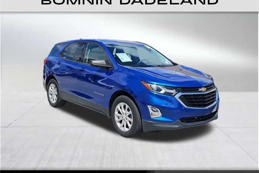 2019 Chevrolet Equinox LS photo 1