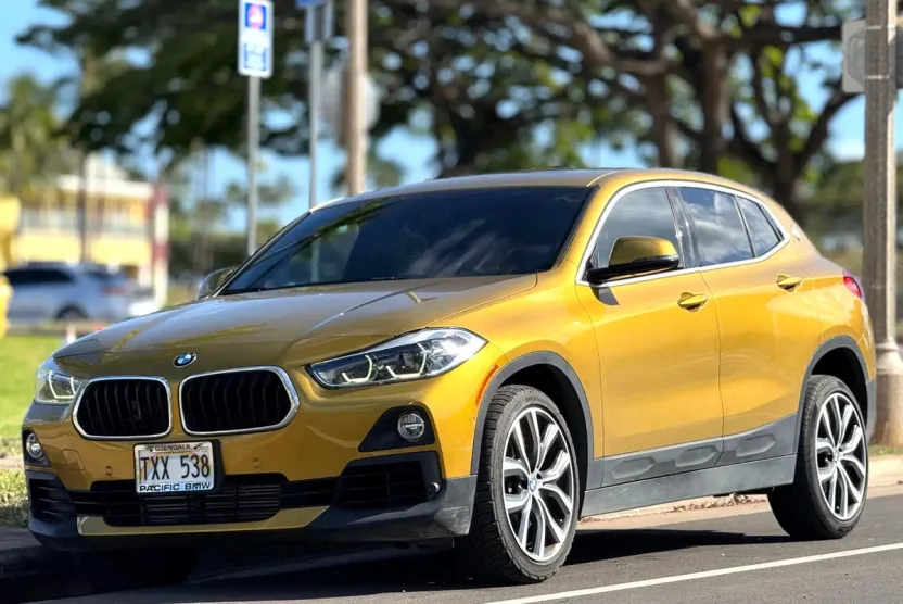 2018 Bmw X2 sDrive28i photo 1