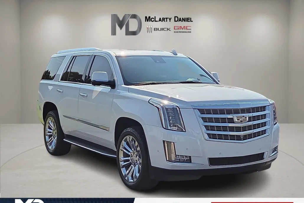 2019 Cadillac Escalade Luxury photo 1