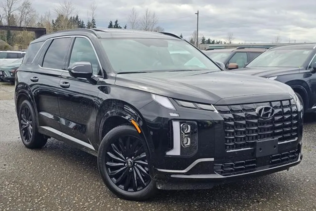 2025 Hyundai Palisade Calligraphy photo 1