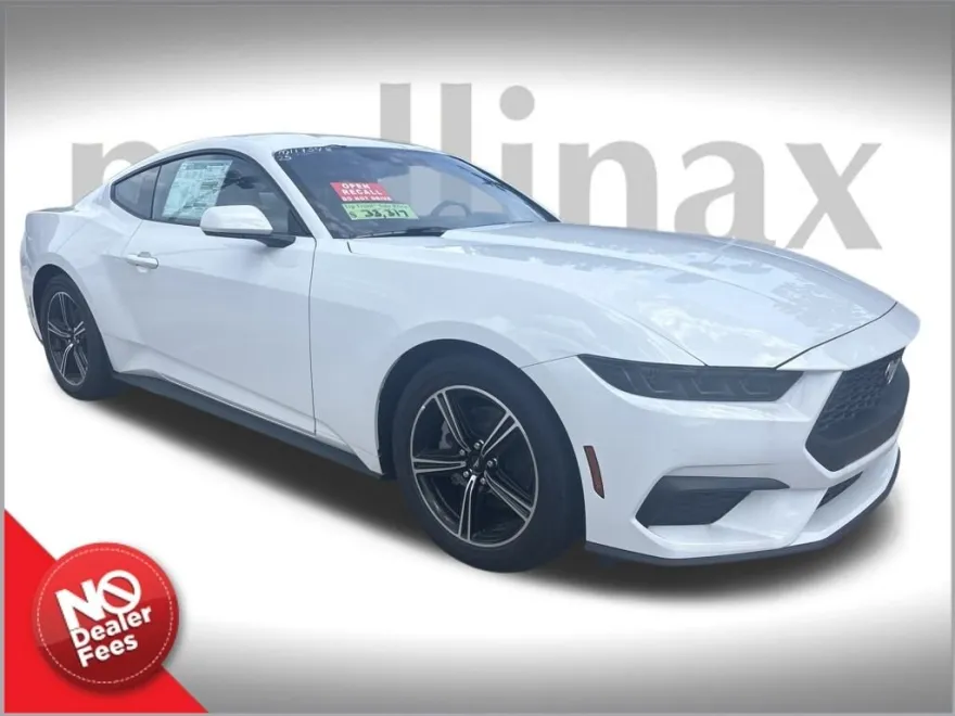 2025 Ford Mustang EcoBoost photo 1