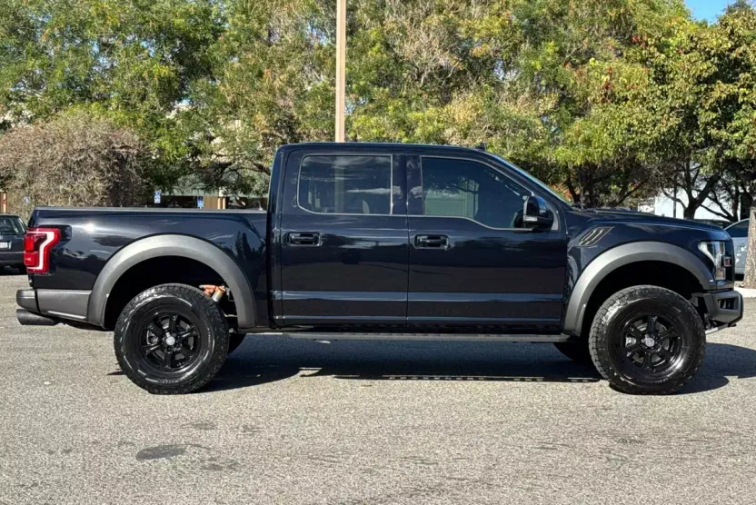 2019 Ford F-150 Raptor photo 1