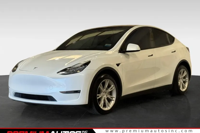 2020 Tesla Model Y Long Range photo 1