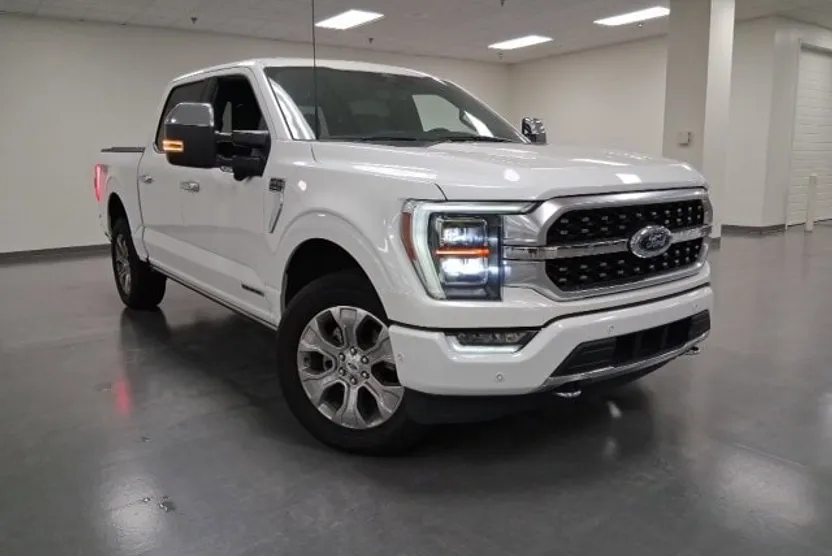 2022 Ford F-150 Platinum photo 1