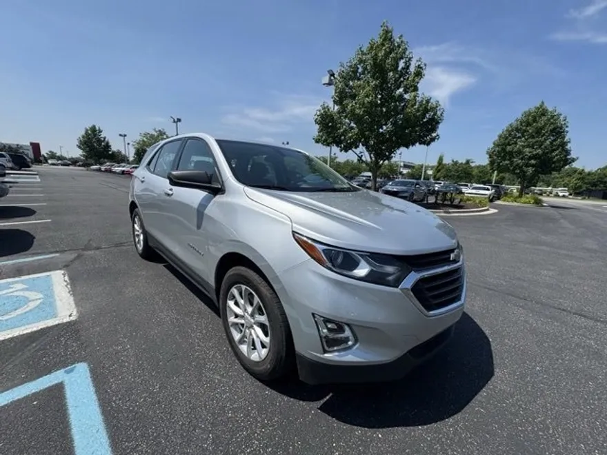 2019 Chevrolet Equinox LS photo 1