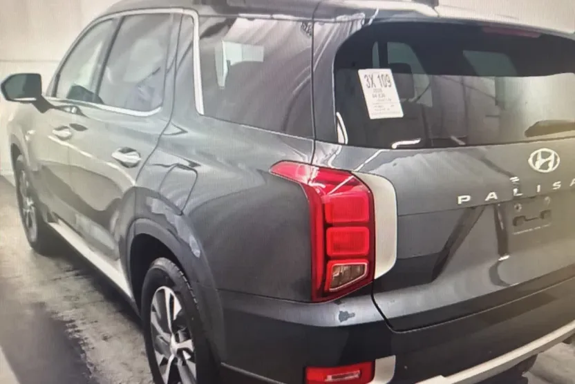 2020 Hyundai Palisade SEL photo 1