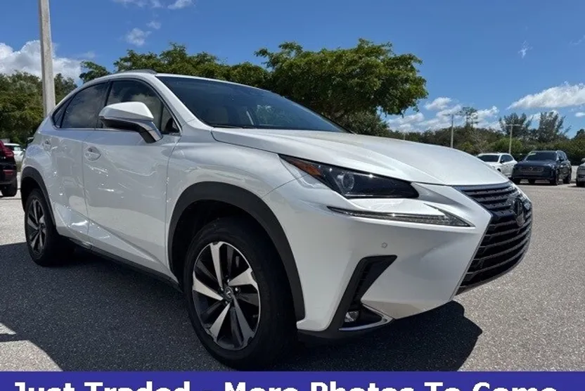 2018 Lexus NX 300 Luxury photo 1